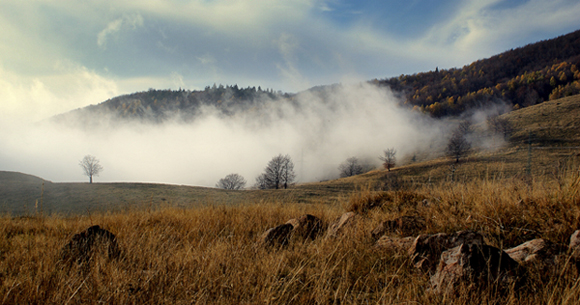 photo "invasion" tags: landscape, autumn, clouds