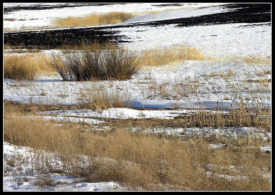 photo "***" tags: landscape, abstract, spring