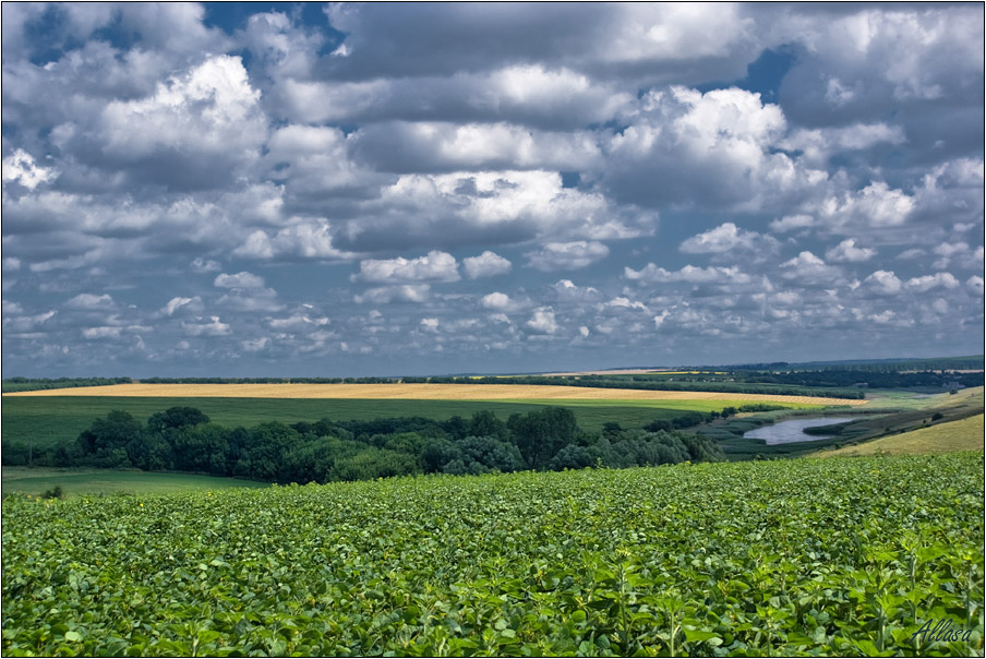 photo "***" tags: landscape, clouds, summer