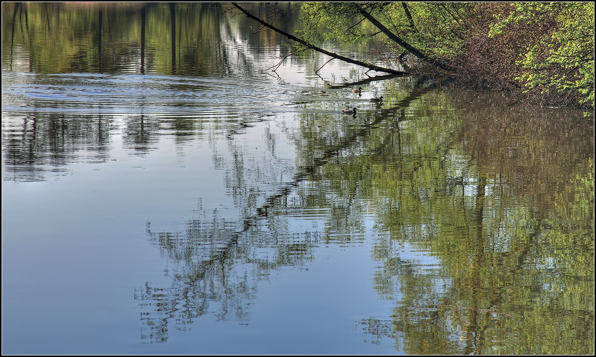 фото "весна на озере" метки: пейзаж, весна, вода