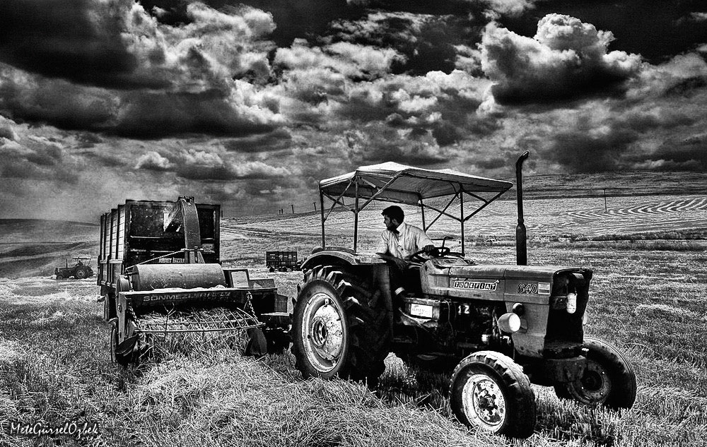 photo "Harvest Time" tags: black&white, landscape, summer