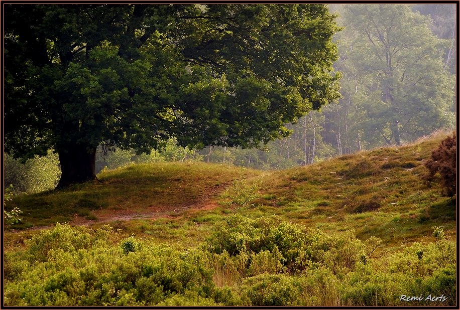 photo "***" tags: landscape, autumn