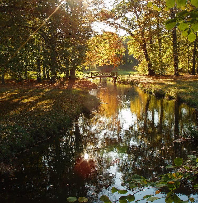 photo "***" tags: landscape, autumn