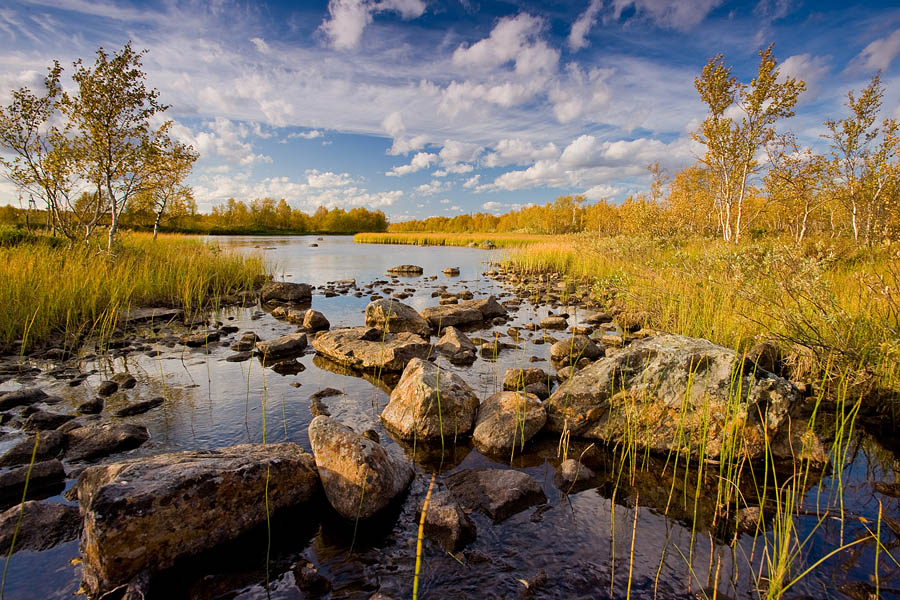 photo "***" tags: landscape, autumn