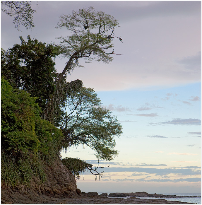 photo "Morning lanscape with birds" tags: , 