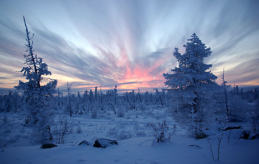 фото "Всполохи заката" метки: пейзаж, зима, лес
