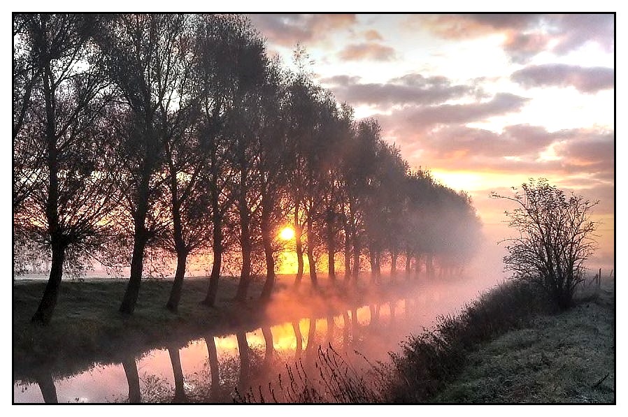 photo "Golden morning." tags: landscape, spring, sunset