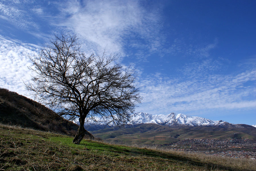 photo "***" tags: landscape, mountains, spring