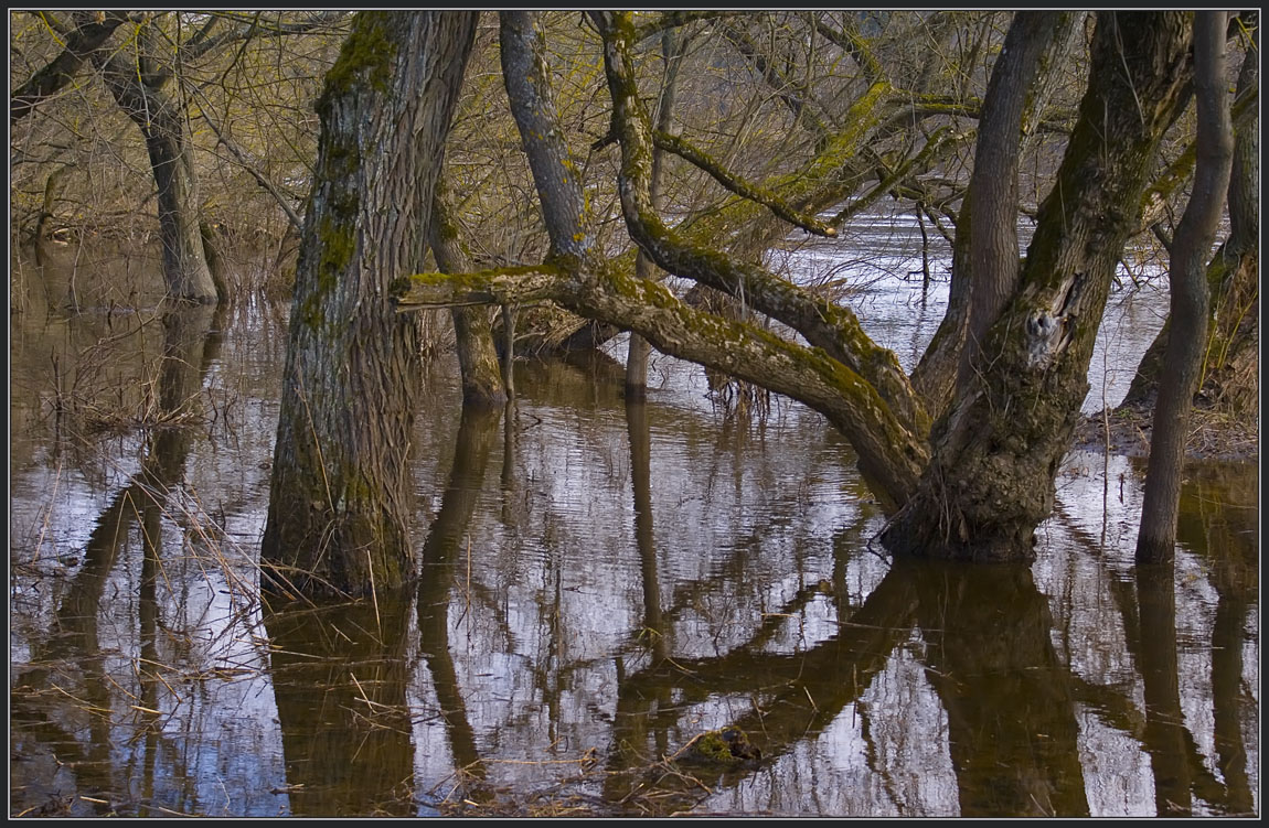 photo "Spring bathing" tags: landscape, spring, water