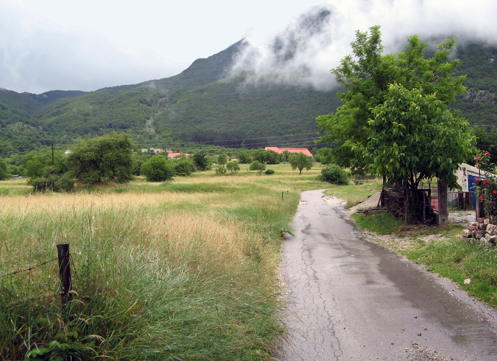 photo "Pastorale" tags: landscape, 