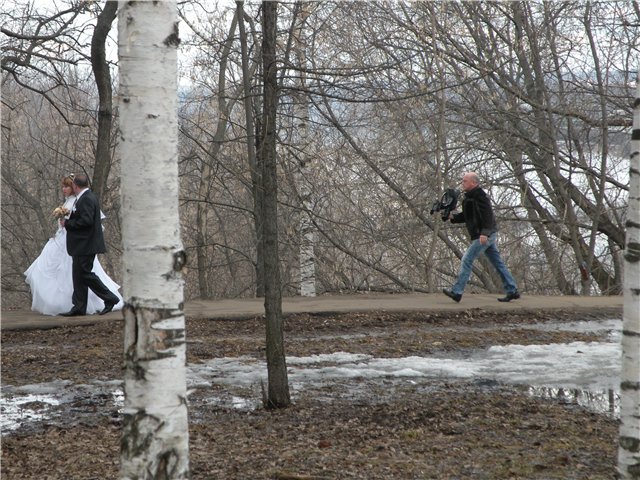 фото "Это я то снимать не умею!?" метки: , 