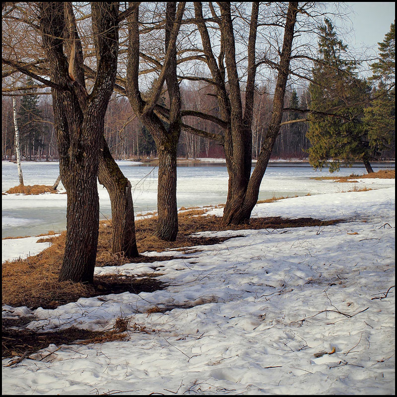 photo "***" tags: landscape, spring