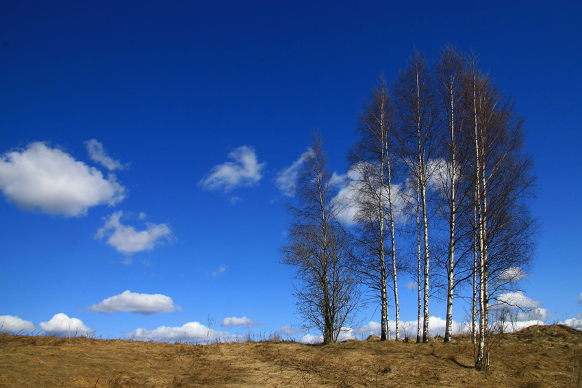 photo "***" tags: landscape, spring