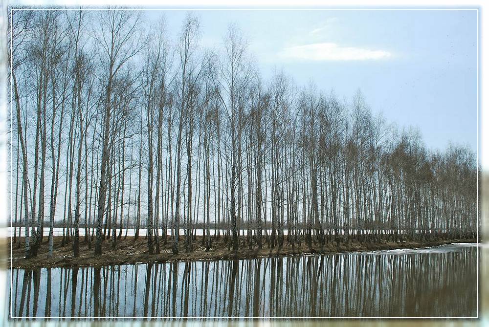 фото "Половодье" метки: пейзаж, весна
