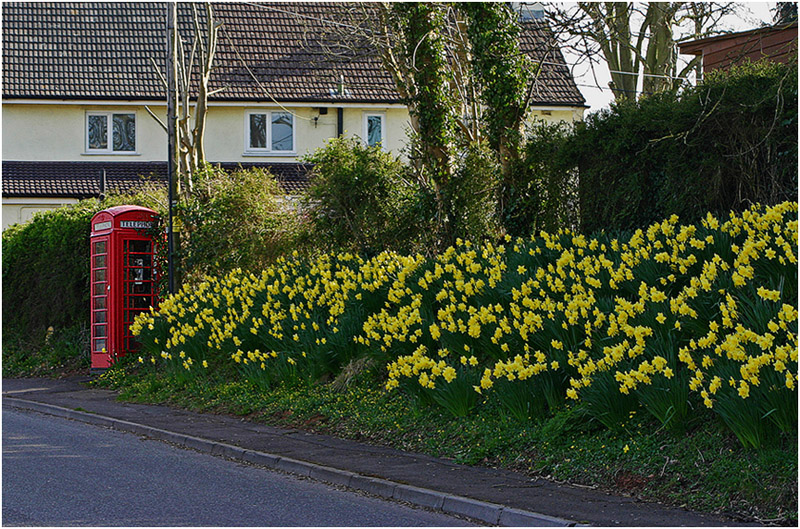 photo "The spring has come!" tags: landscape, spring