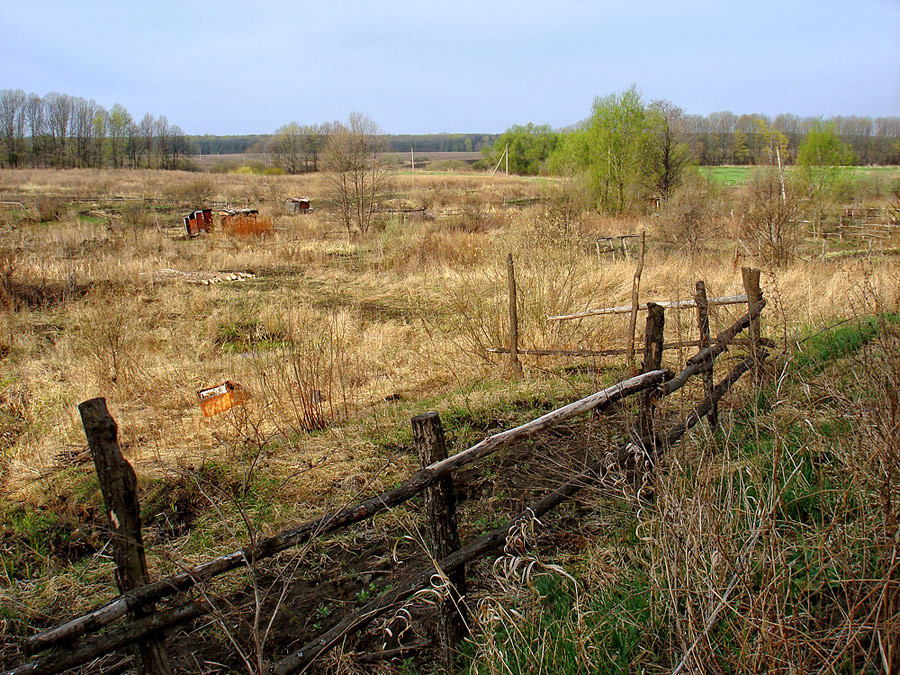 photo "Spring..." tags: landscape, spring