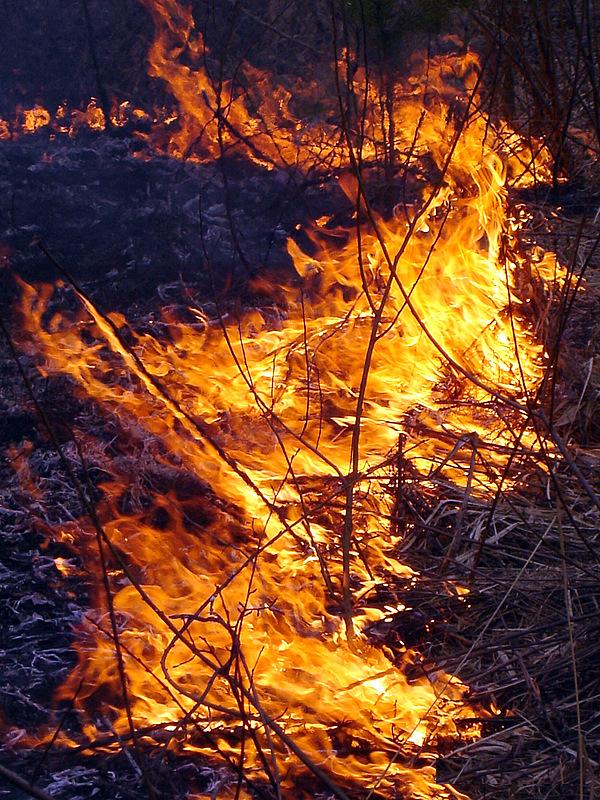 photo "огонь,стихия,пожар" tags: genre, misc., 