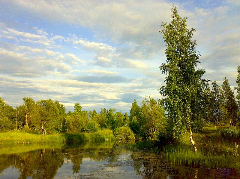 photo "природа,пейзаж,Россия" tags: landscape, summer