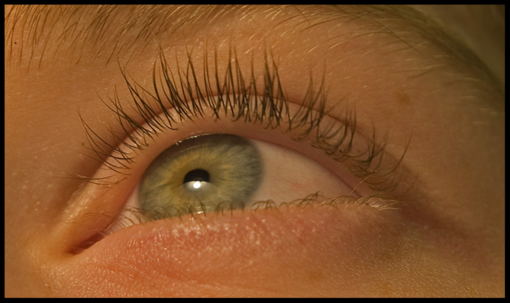 photo "The Eye" tags: macro and close-up, still life, 