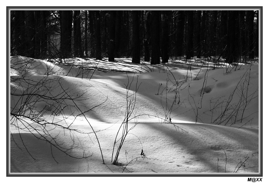 photo "###" tags: landscape, black&white, winter