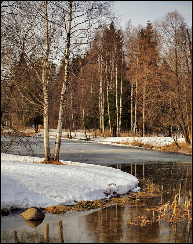 photo "***" tags: landscape, spring