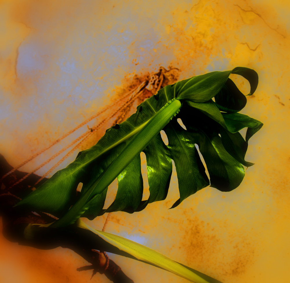 photo "***" tags: abstract, 