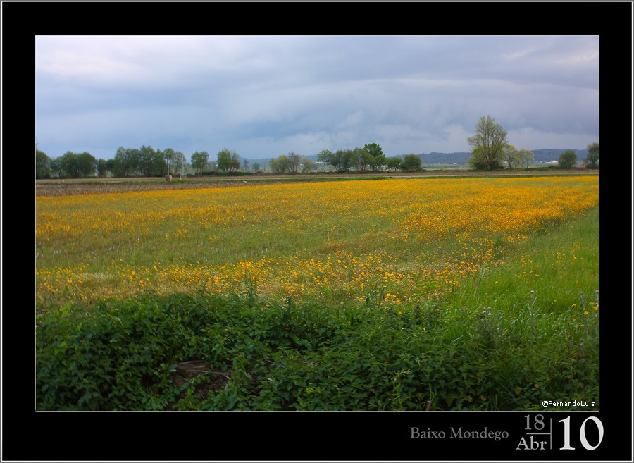 photo "***" tags: landscape, spring