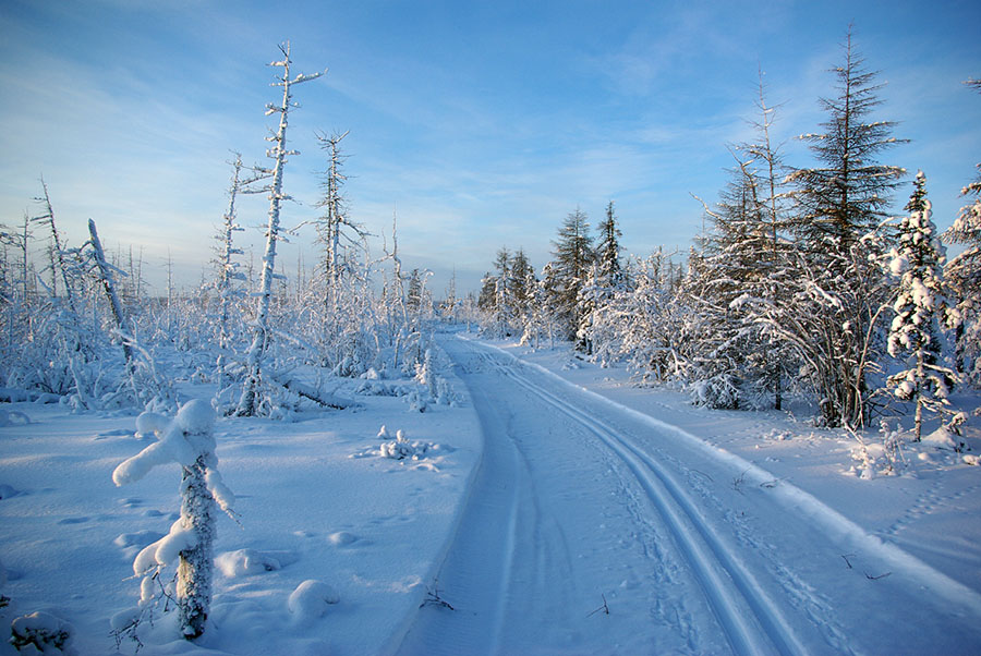 photo "***" tags: landscape, forest, winter