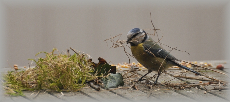 photo "What did I need for..." tags: nature, wild animals