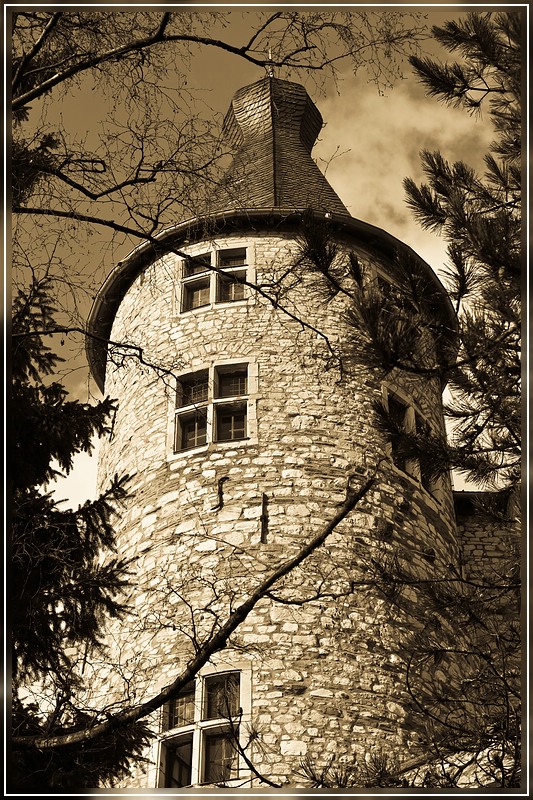 photo "***" tags: fragment, 