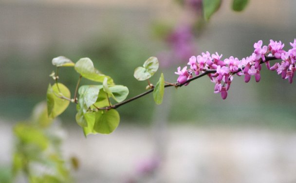 photo "moments of Spring" tags: landscape, spring