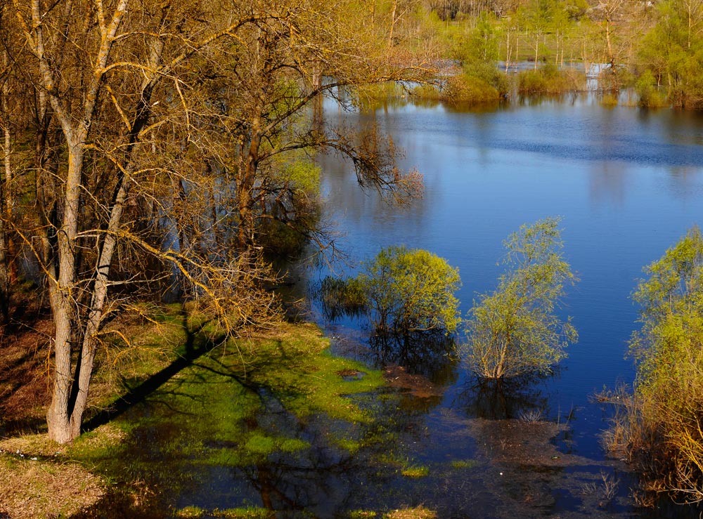 фото "Весенний разлив на Десне" метки: пейзаж, весна, вода