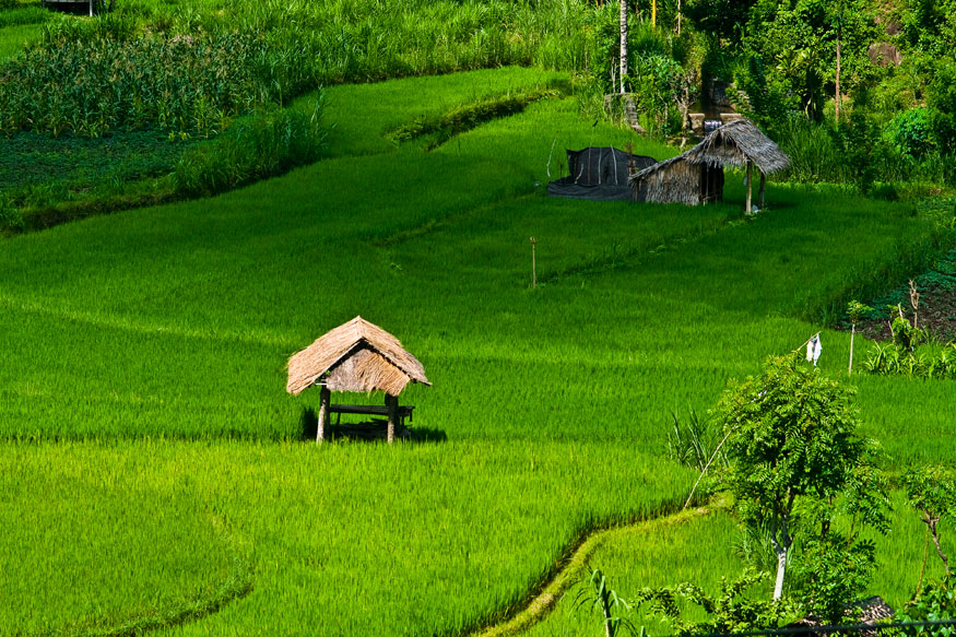 photo "***" tags: landscape, travel, Asia, summer