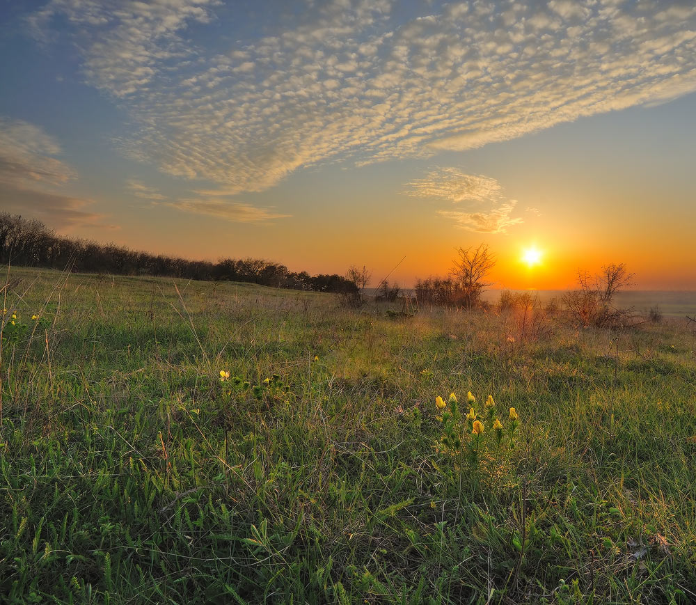 photo "***" tags: landscape, sunset