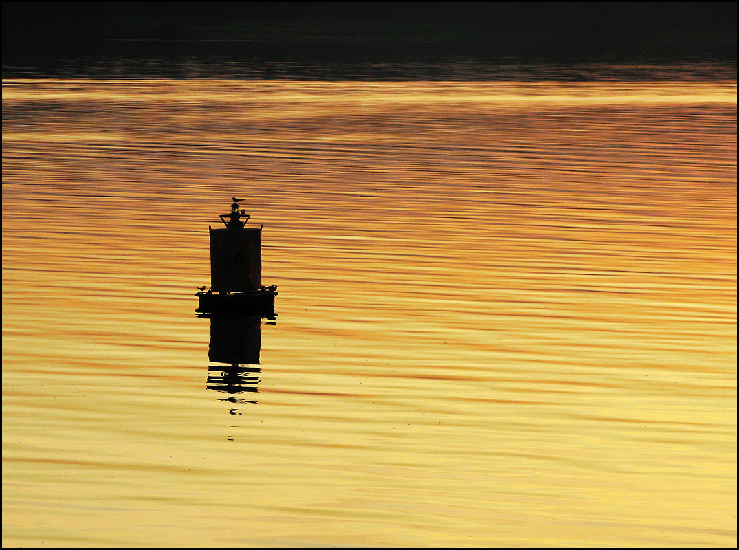 photo "Golden Volga" tags: landscape, sunset