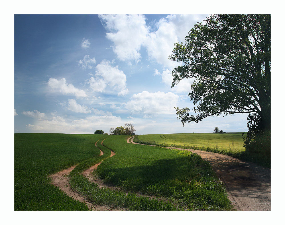 photo "***" tags: landscape, clouds, summer