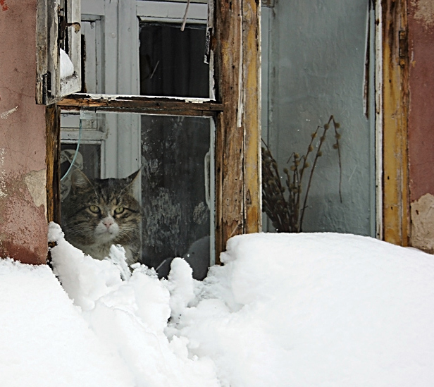 photo "***" tags: , 