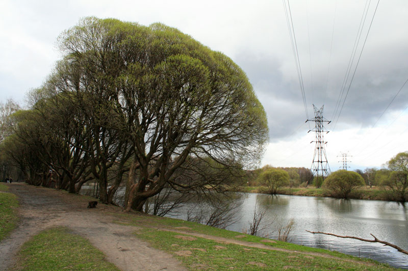 photo "***" tags: landscape, spring