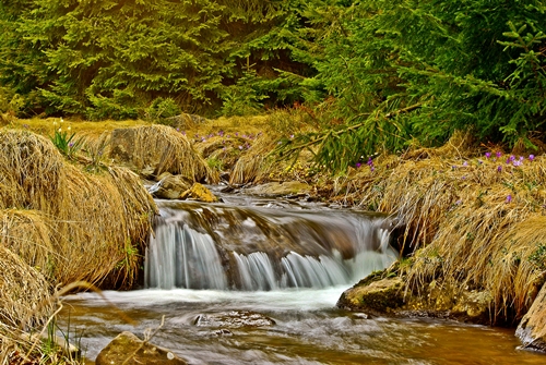 photo "chill" tags: landscape, spring, water