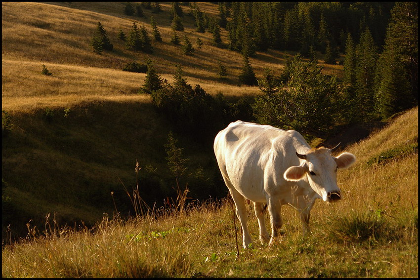 photo "***" tags: landscape, mountains