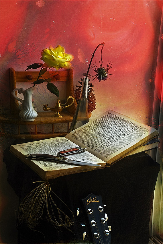 photo "With a book and knives" tags: still life, 