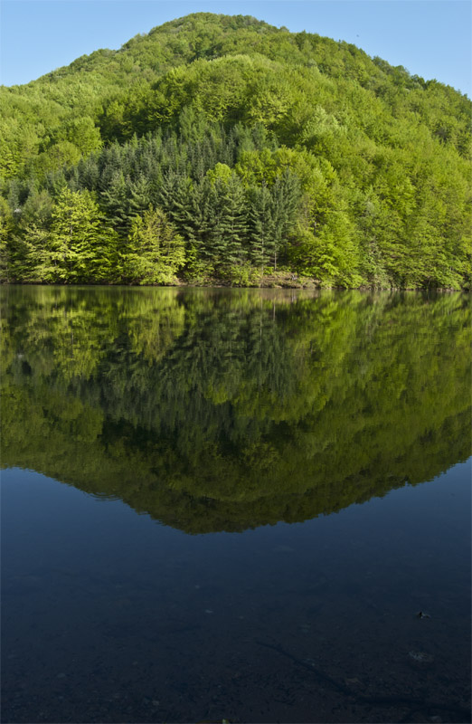 фото "Spring is here" метки: пейзаж, вода, лес