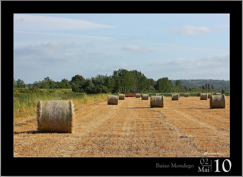фото "***" метки: , 