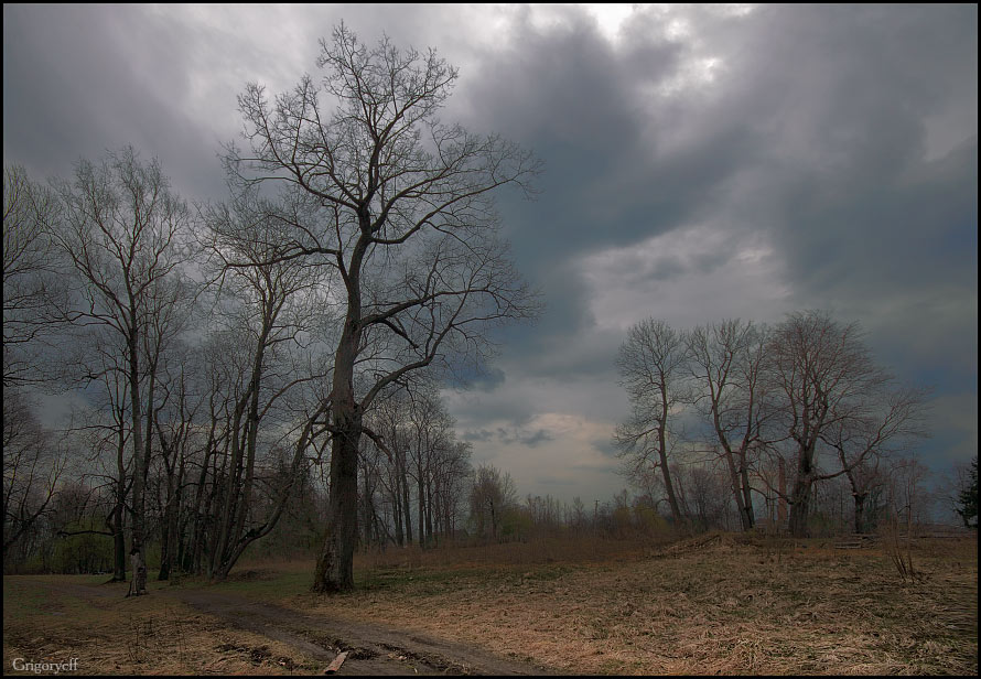 photo "Abandoned Sheremetevsky park. View by the direction of greenhouses and conservatories" tags: landscape, clouds