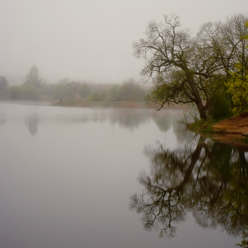 фото "***" метки: пейзаж, 