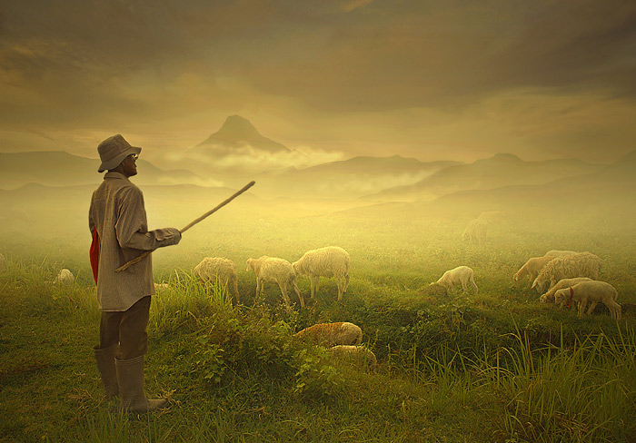 photo "shepherd" tags: landscape, mountains