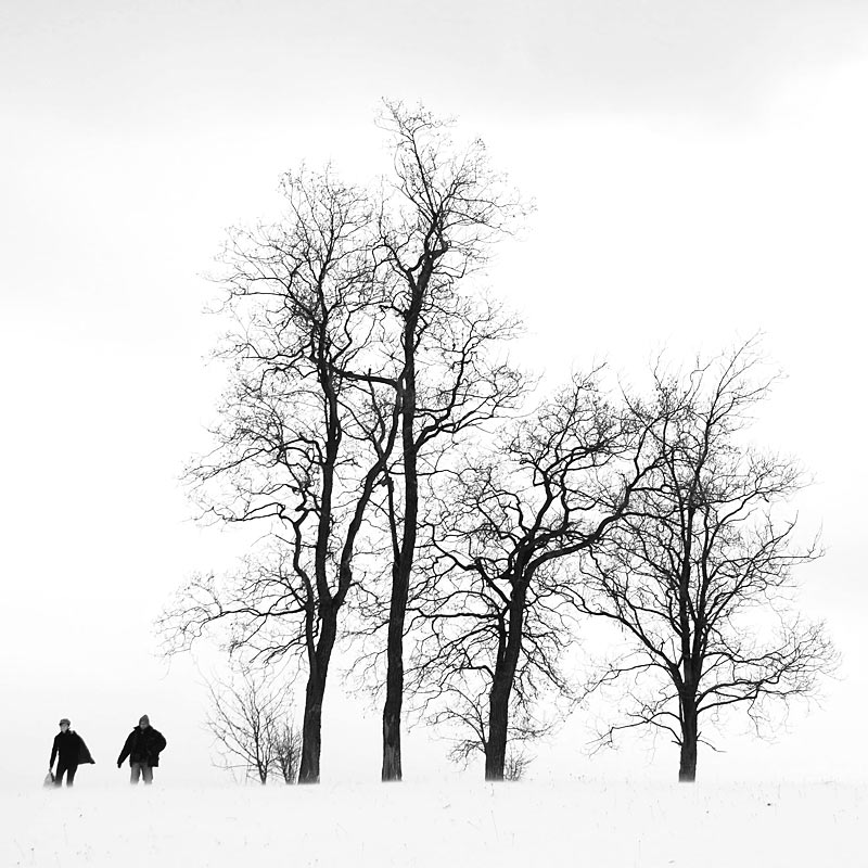 photo "***" tags: landscape, 