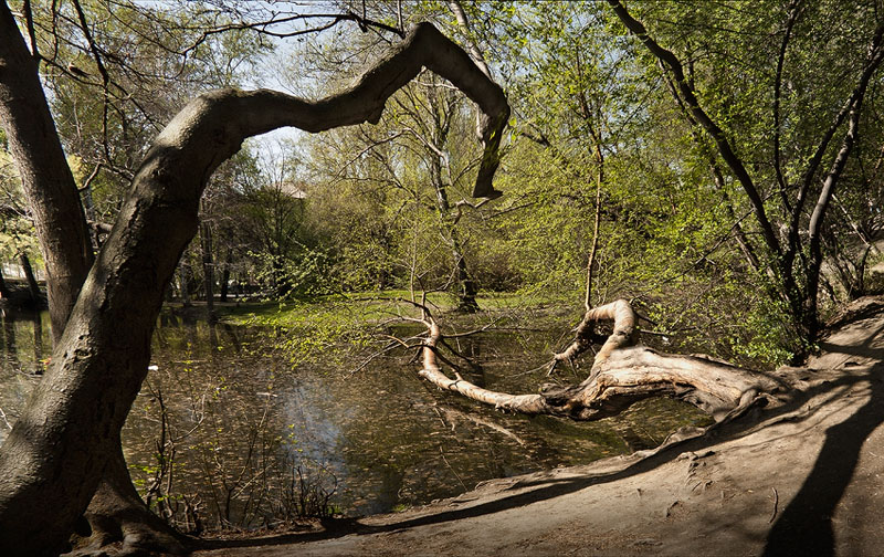 photo "***" tags: landscape, water