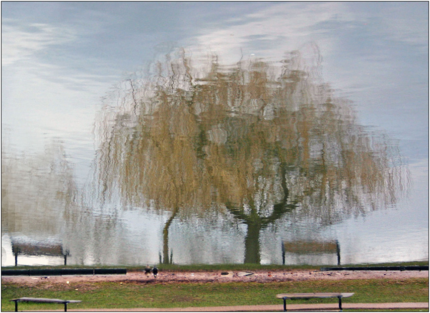 photo "***" tags: abstract, landscape, water