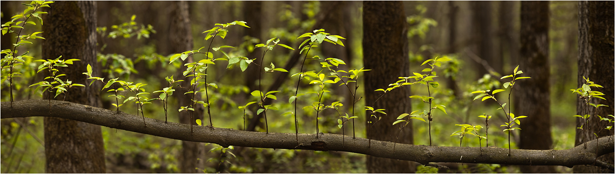 photo "***" tags: panoramic, 